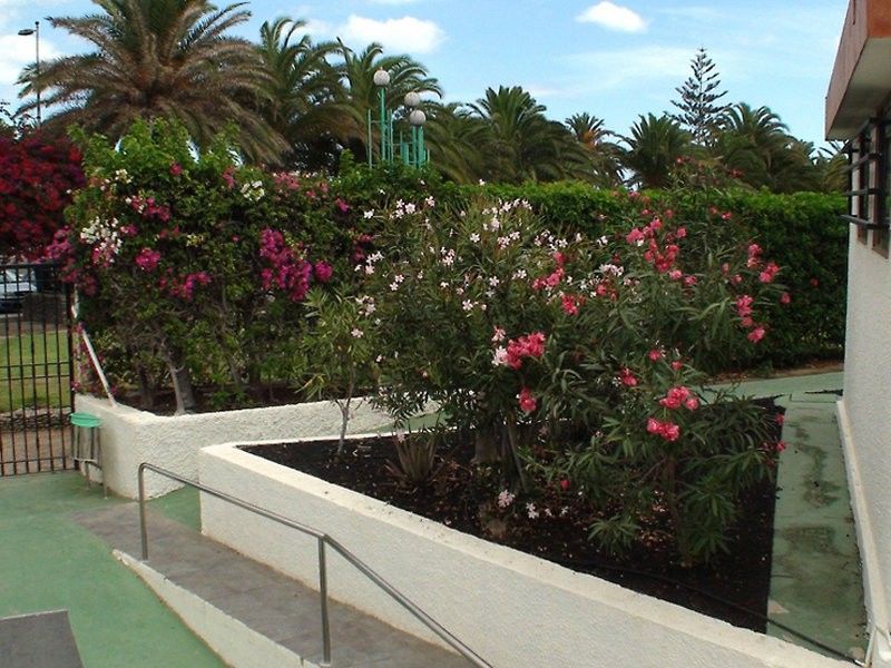 Bungalows Dona Rosa Playa del Inglés Exterior foto